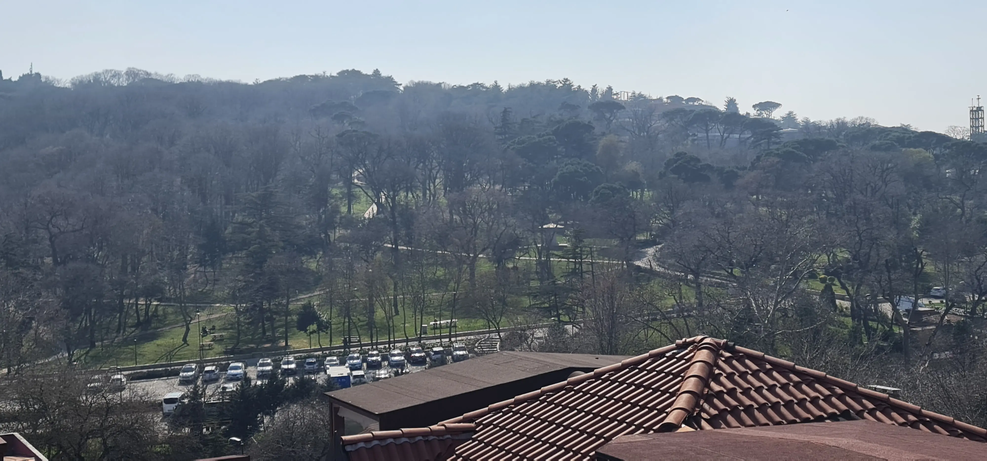 King Faysal Palace Land